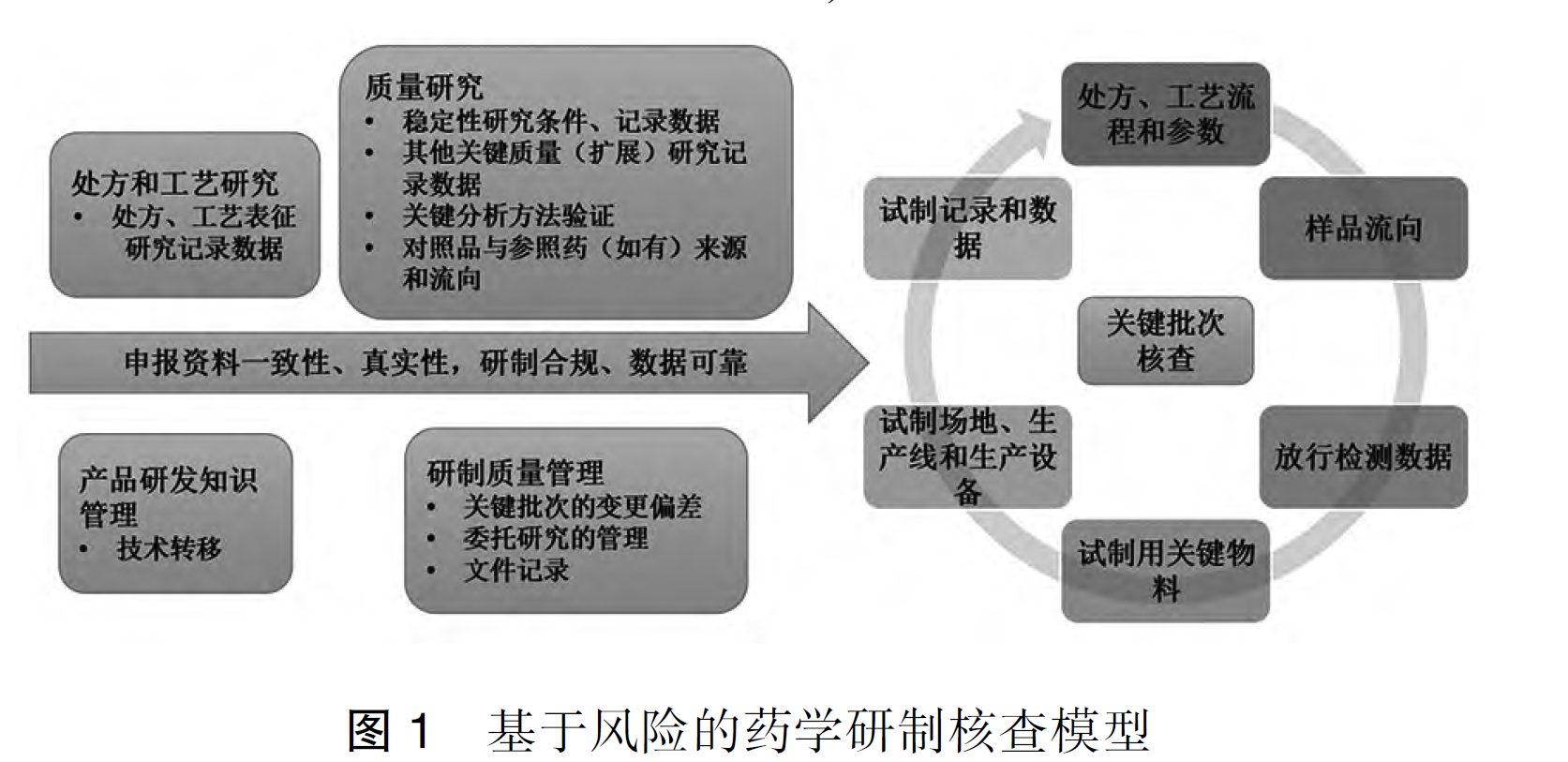 重磅文献分享-生物制品药学研制核查要点和常见问题分析（2025 CFDI 张平）-附下载-药研库